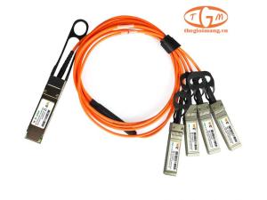 FG-CABLE-SR10-SFP+ Fortinet 100 GE SR10 to 10x 10 GE fan out cable, 1m