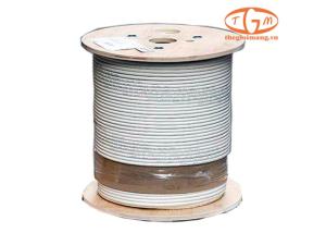 Cáp mạng LS Cat6A FTP 4 Pair (FTP-A-C6G-E1VN-M 0.5X004P/WH)
