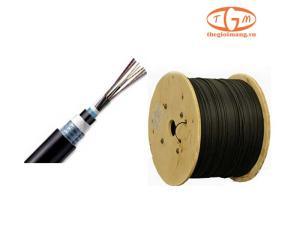 Cáp quang LS Multimode OM4 24-core Armor (LT-DJBGSEX/BRN M424XX(06T2.00))