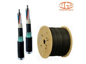 Cáp quang LS Multimode OM3 96-core Armor (LT-DJBGSEX/BRN MX96XX(12T2.30))
