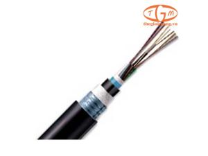 Cáp quang LS Singlemode 8-core Armor (LT-DJBGSEX/BRN SE8XXX(06T2.00))