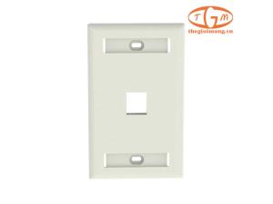 Mặt ổ cắm mạng Panduit 1 cổng (NK1FIWY)
